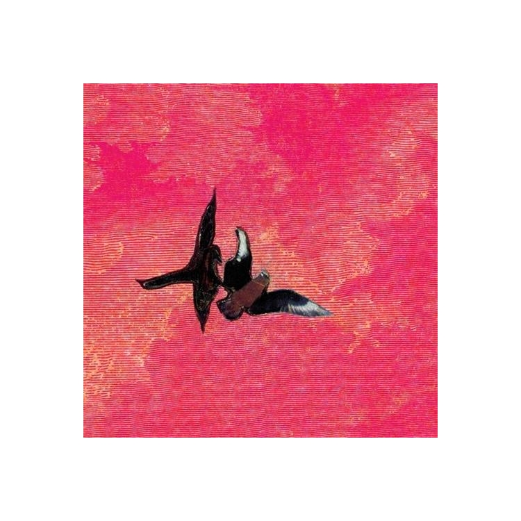 SEBASTIAN ROJAS - En La Orilla