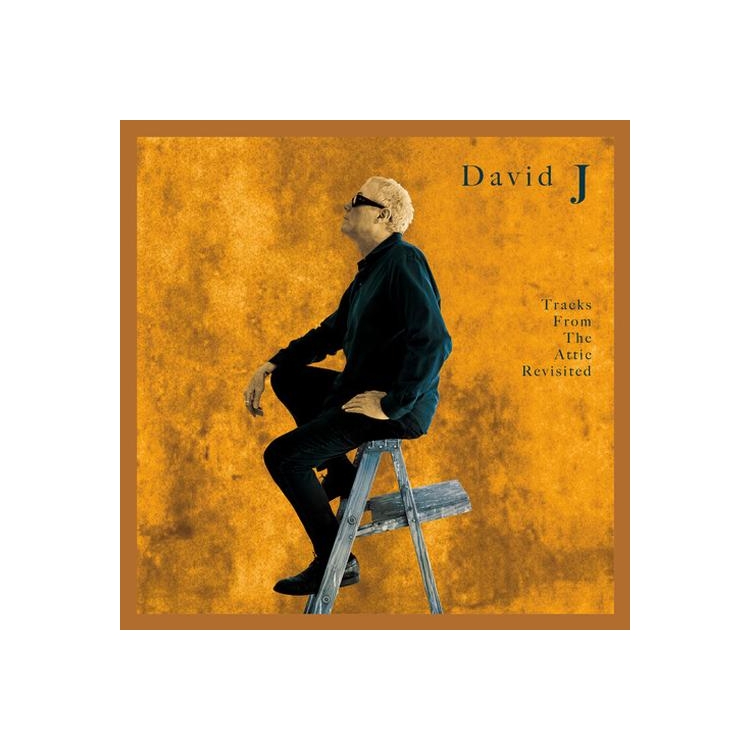 DAVID J - Tracks From The Attic Revisited